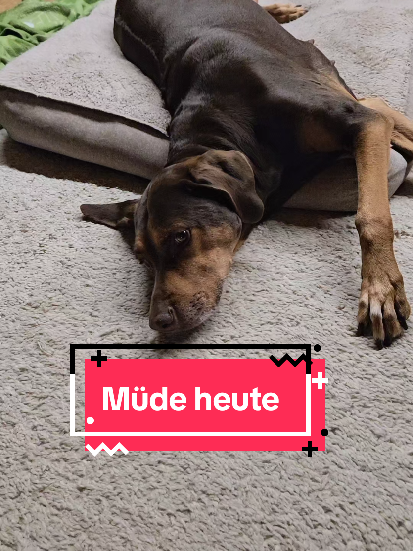 @Paddy und Sally