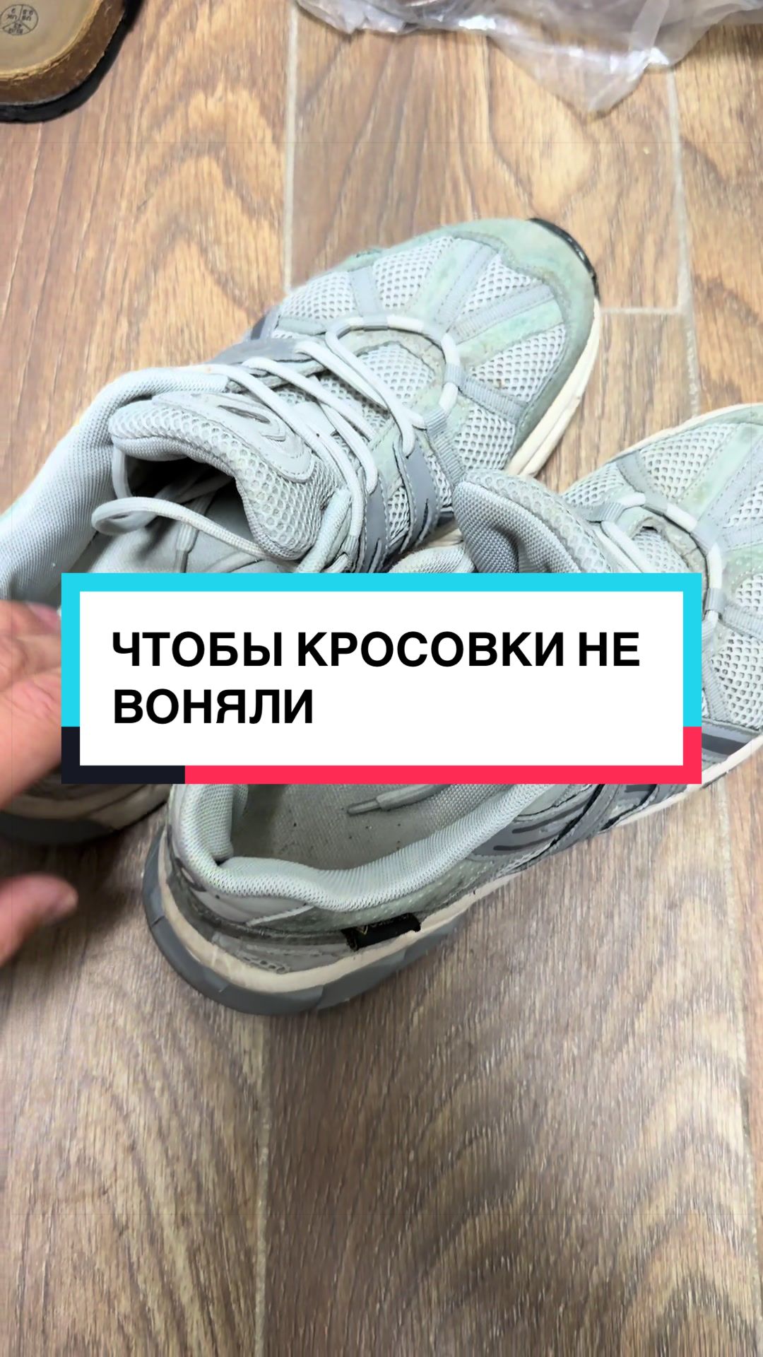 @laifhak_mozgi