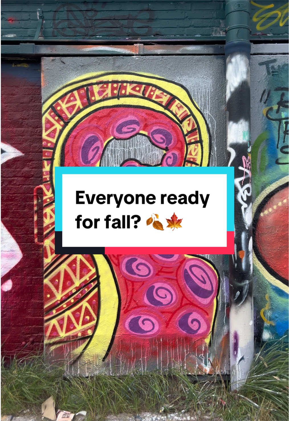 @Street Art Fan People