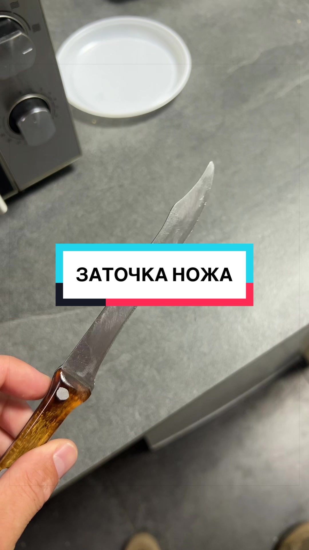 @laifhak_mozgi