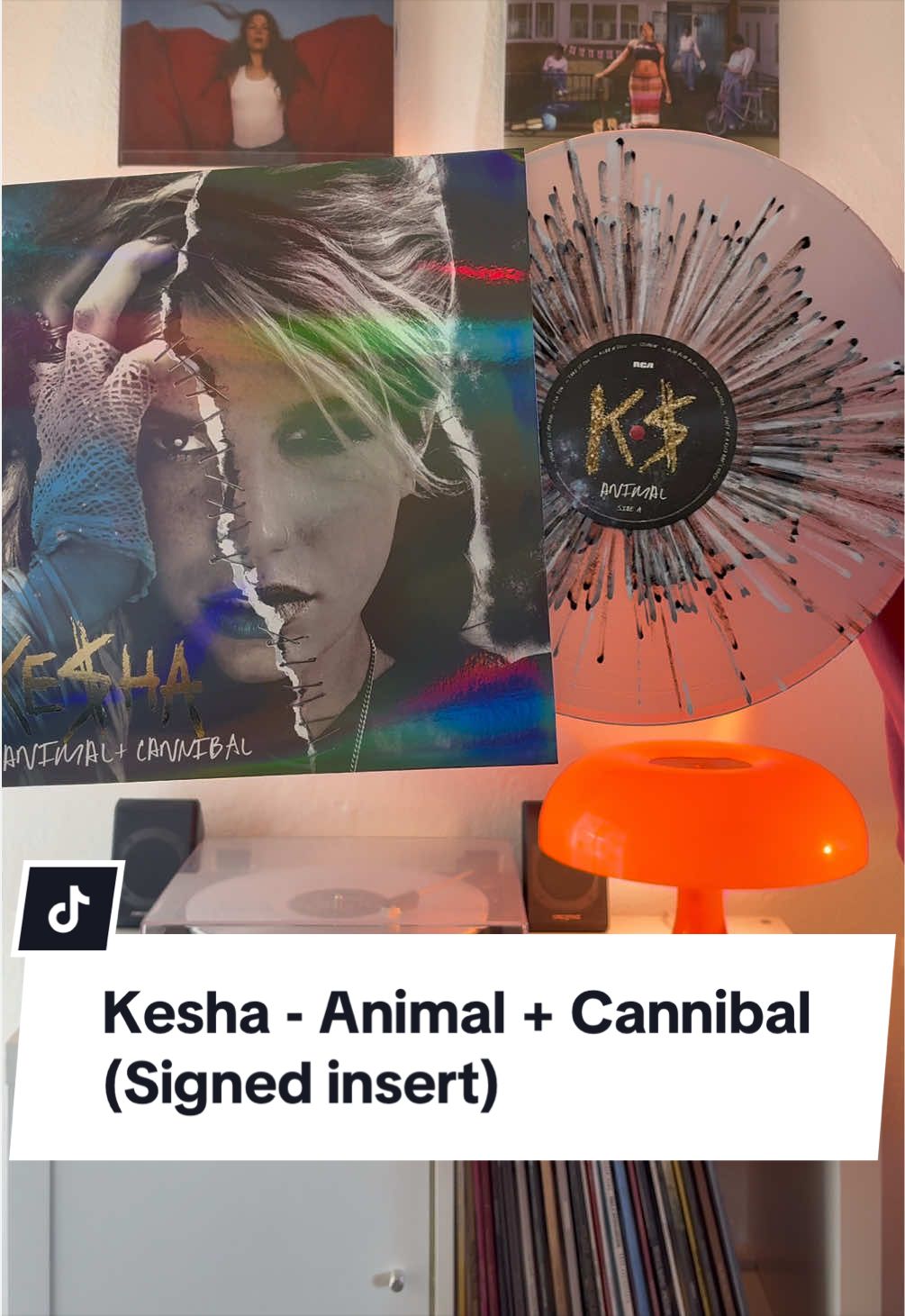 @ricardo.on.vinyl