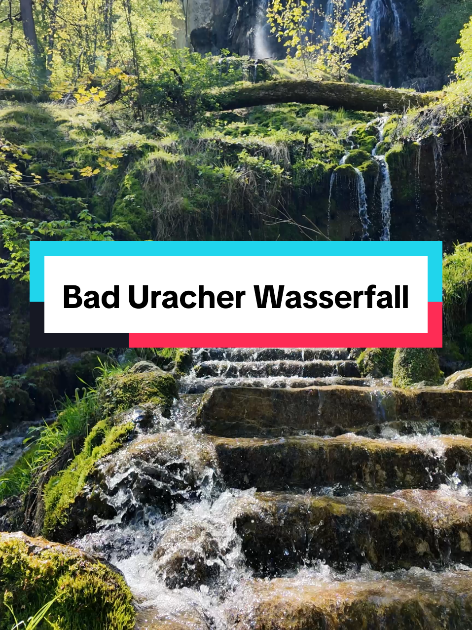 @Am Puls der Natur