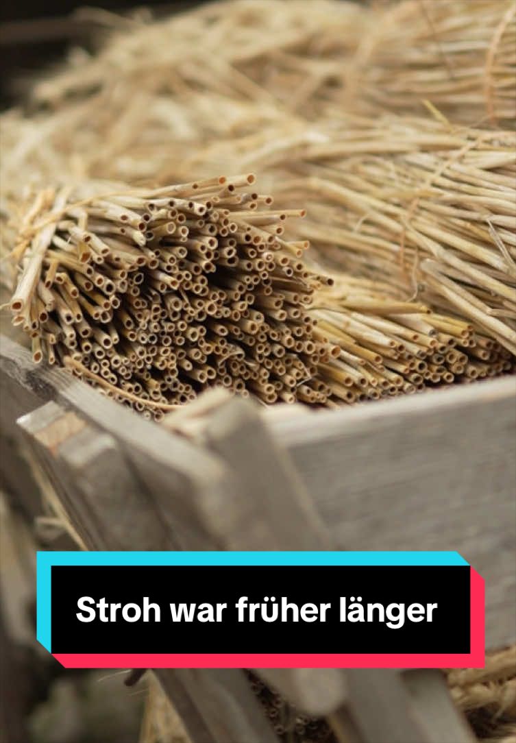 @Handwerkskunst vom SWR