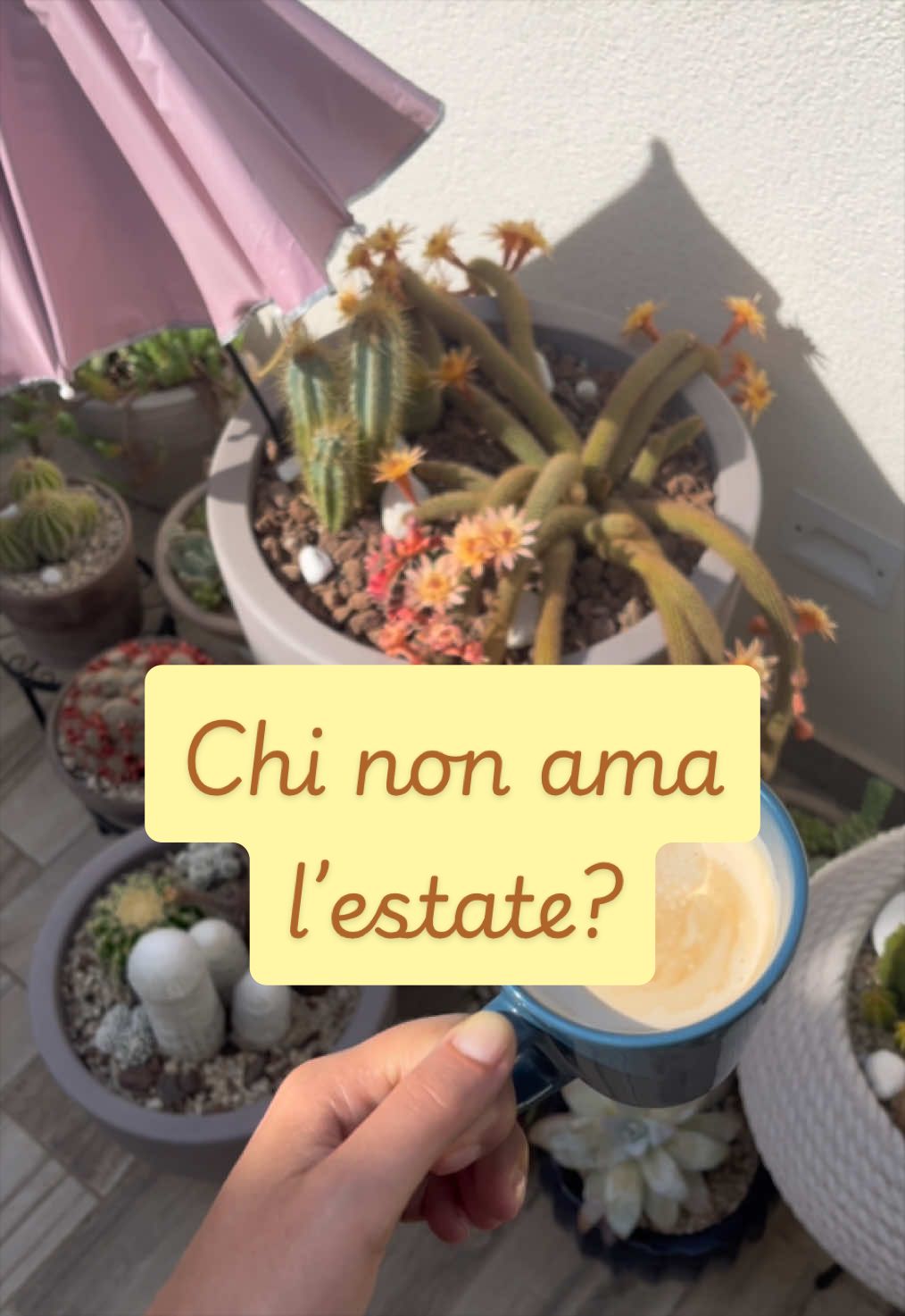 @piccole.spine.felici