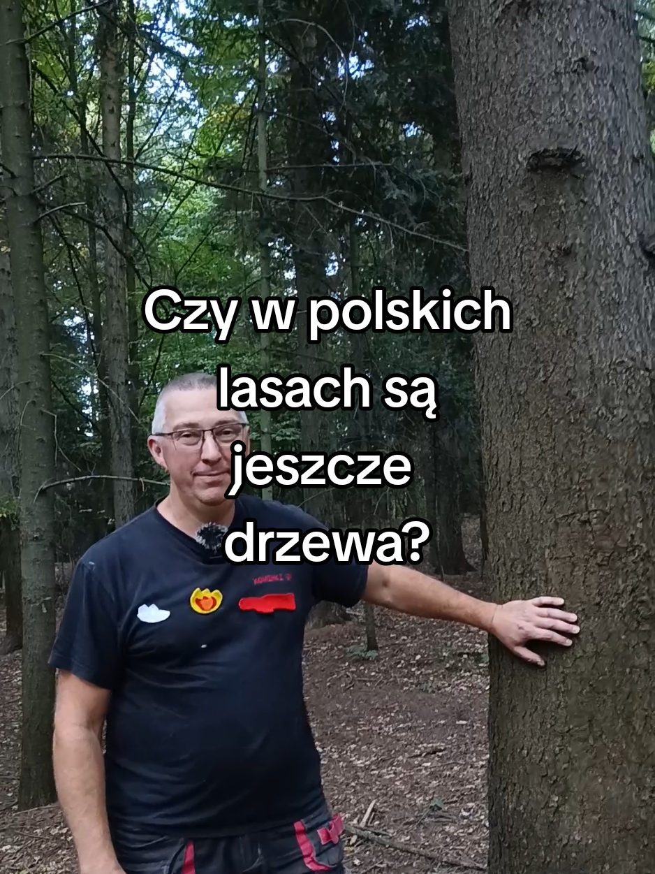 @Kaflowe Kominki