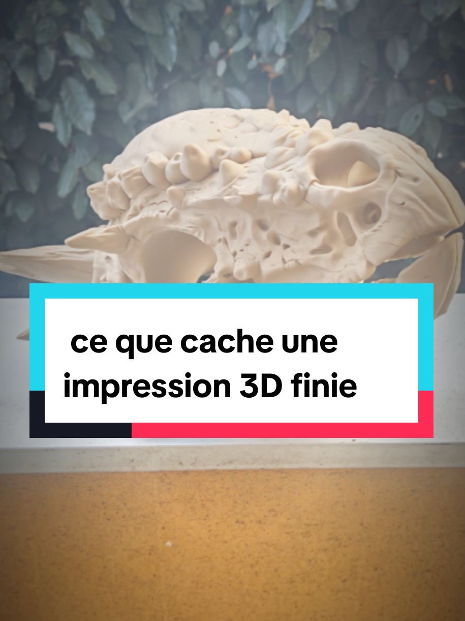 @nac3d