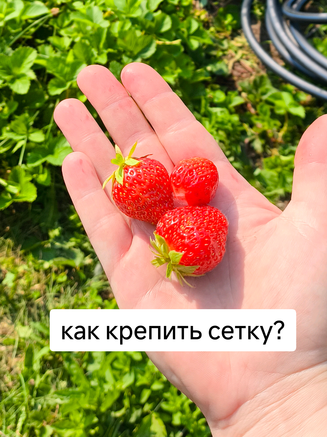 @Женя Садовая