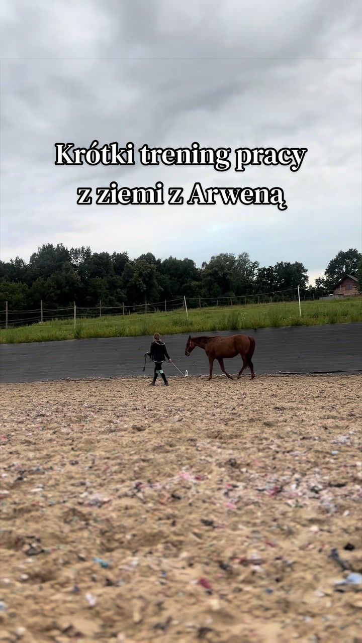 @Harmonia Jeździectwa