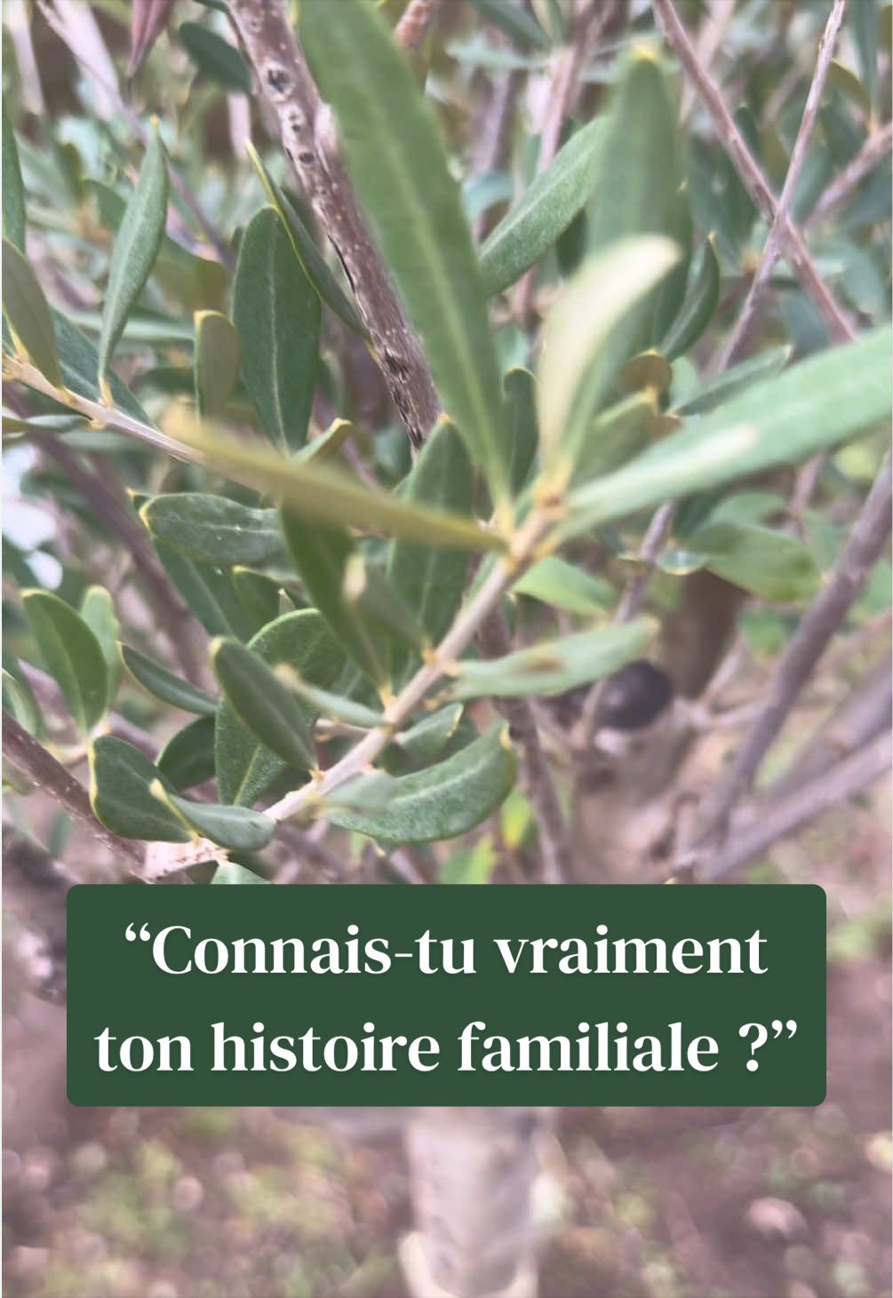 @Relance-toi|Corps &Émotions🧠!