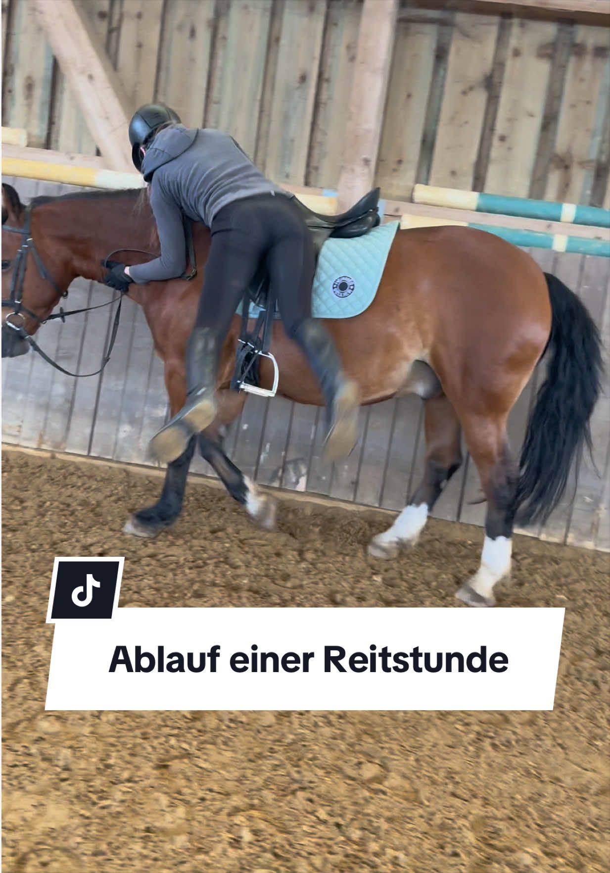 @Sophia &bull; SL Reitschule