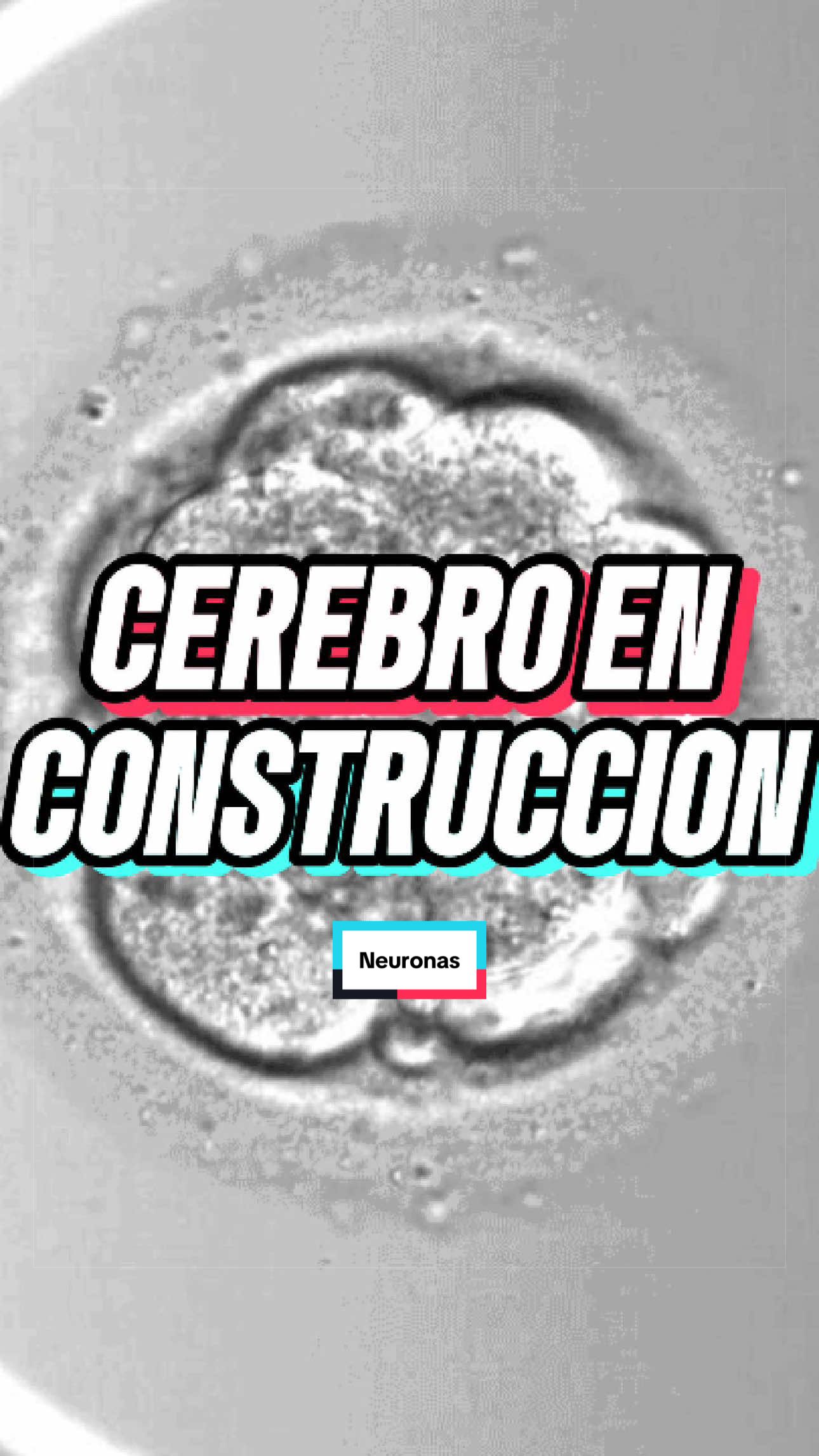 @ArchivoXtraño