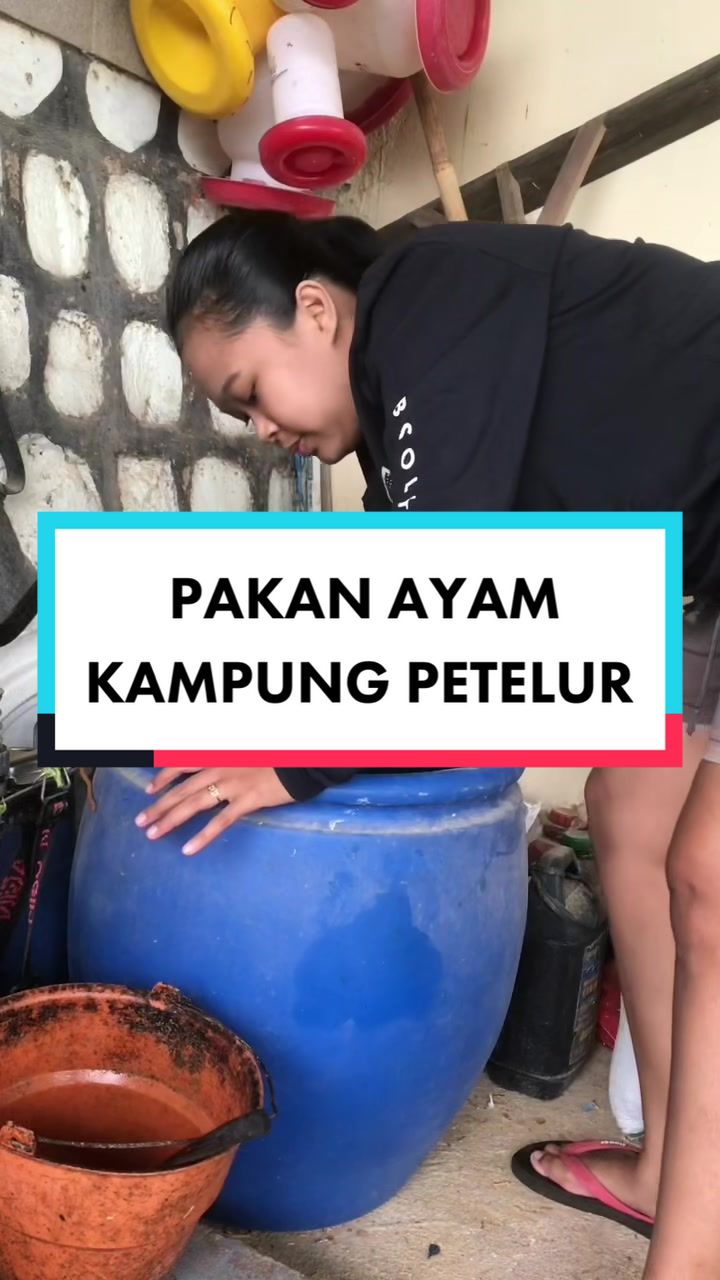 @TernakHebat