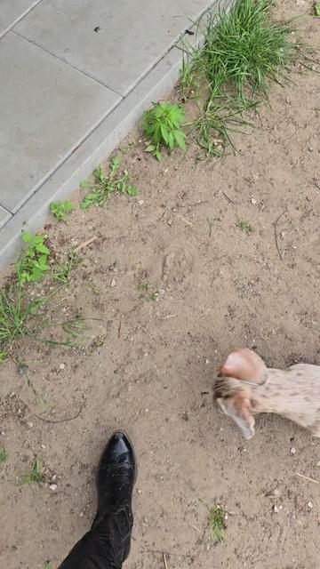 @👩&zwj;🌾 Farmgirl 👩&zwj;🌾
