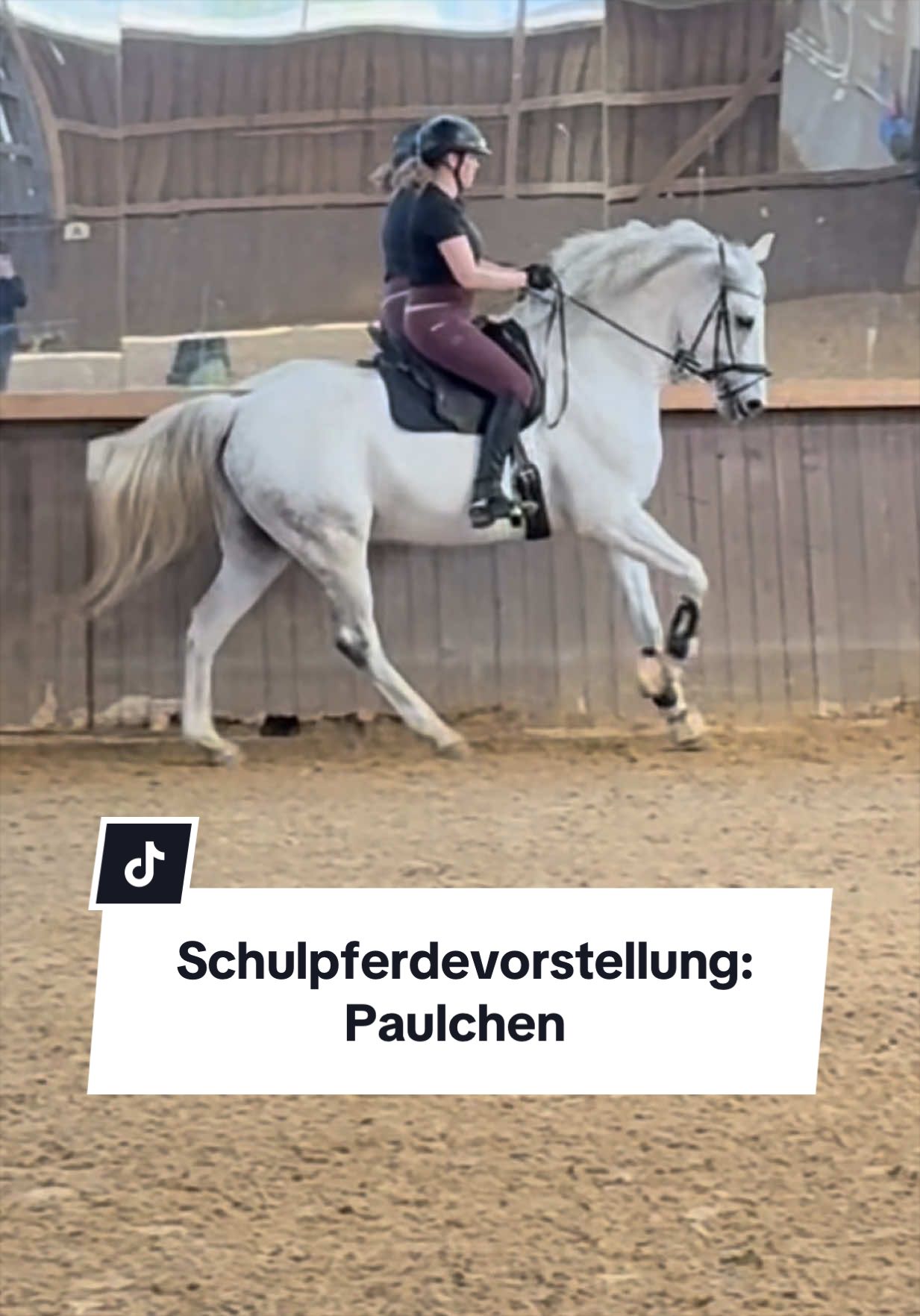 @Sophia • SL Reitschule
