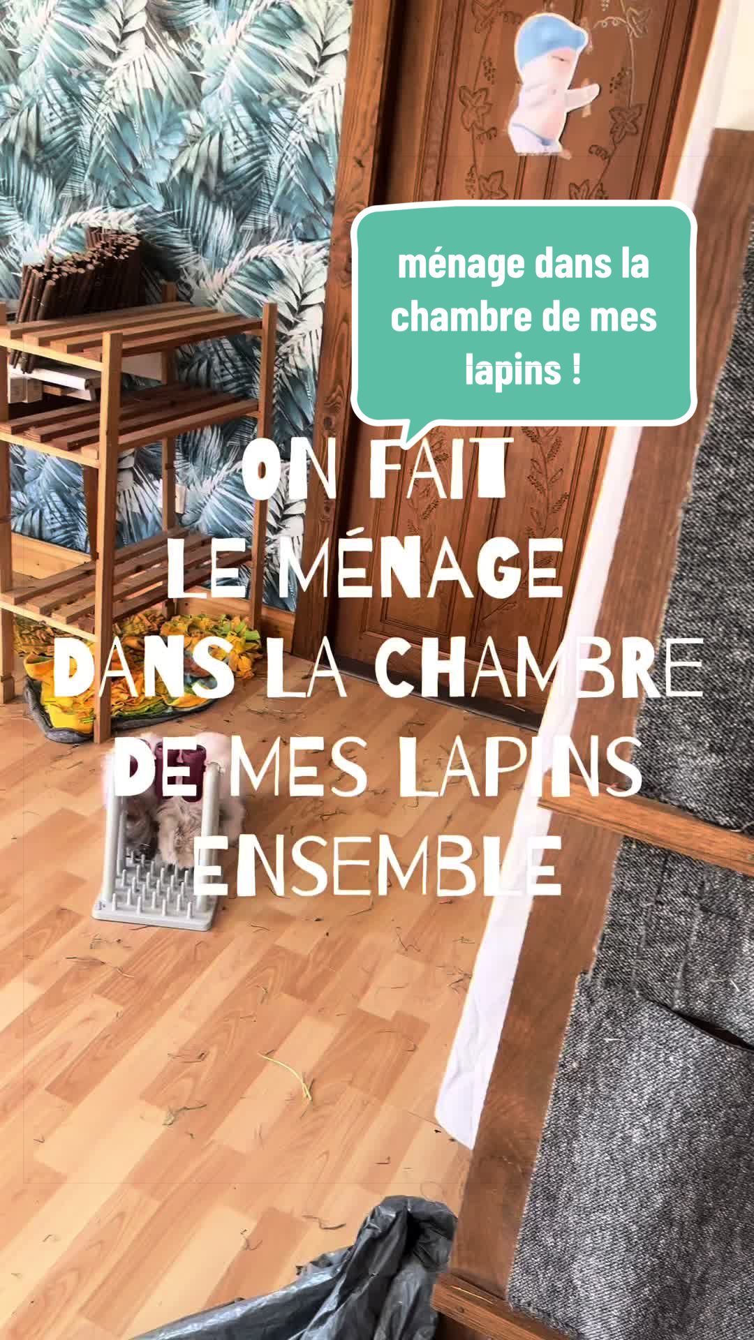 @Mes lapinouchs 🐰🐹