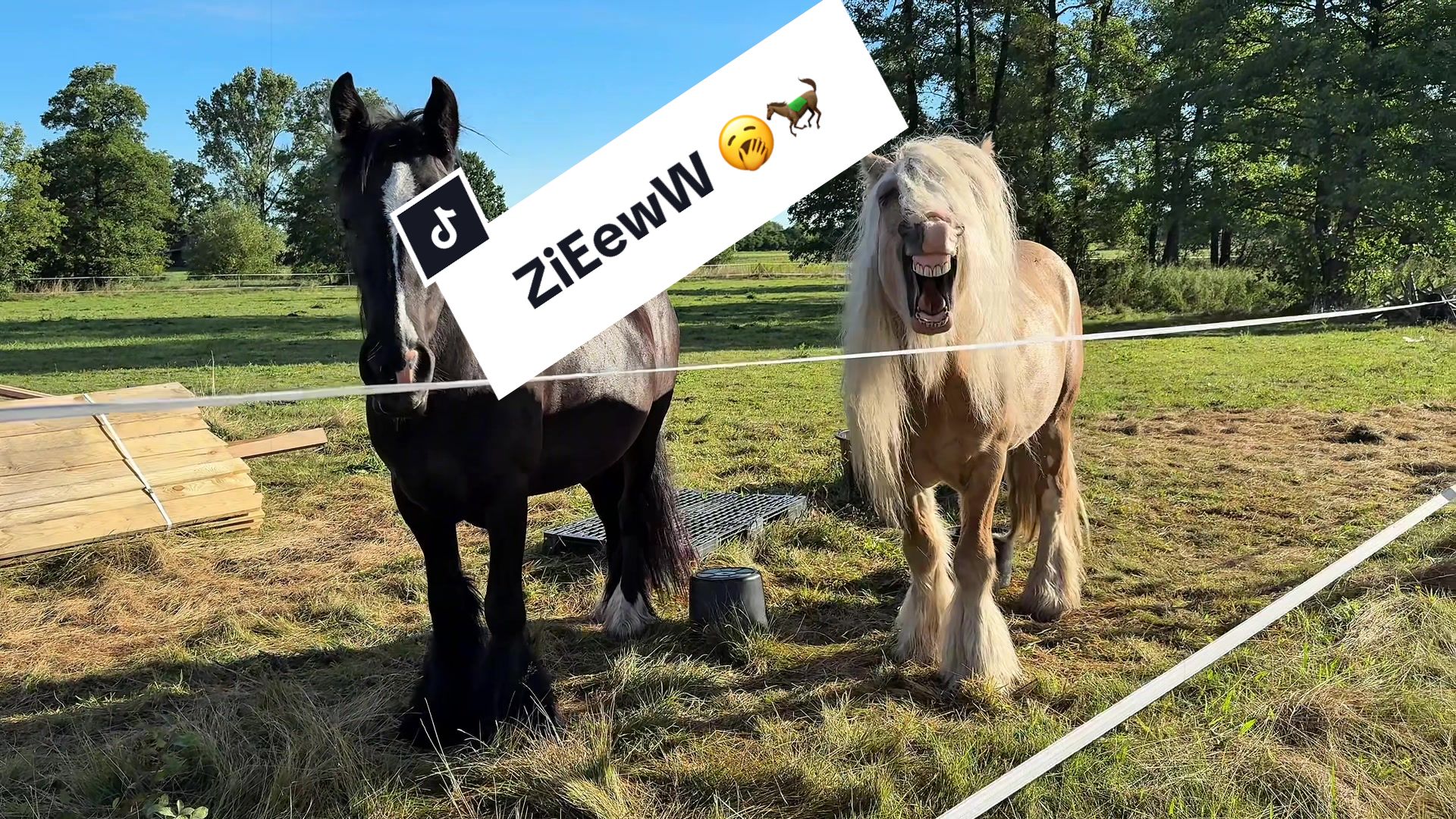 @KsiężycowaStajnia.VulkaDollArt