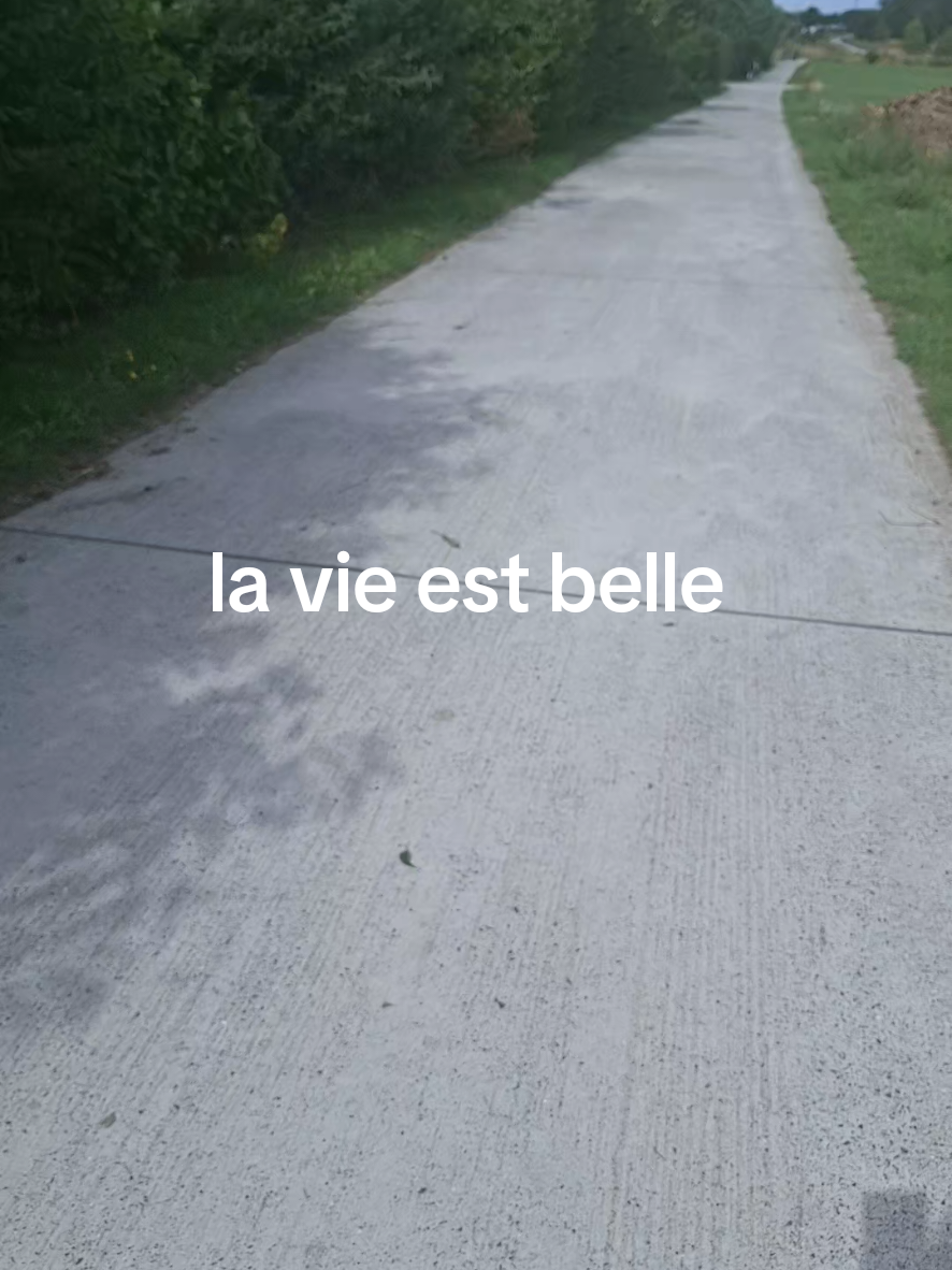 @falerna