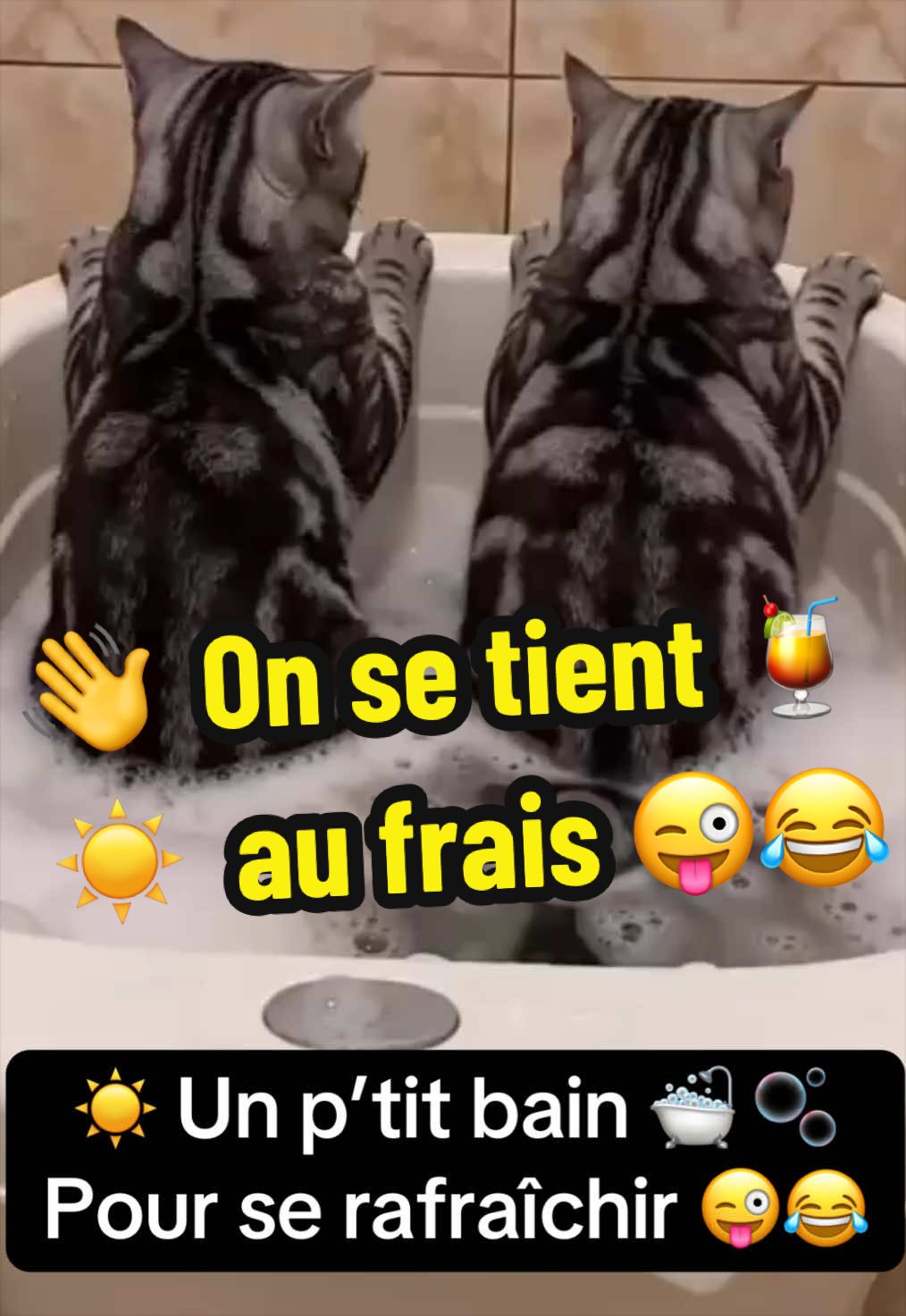 @👑Orelly777💪🏽Insupportable⭐️