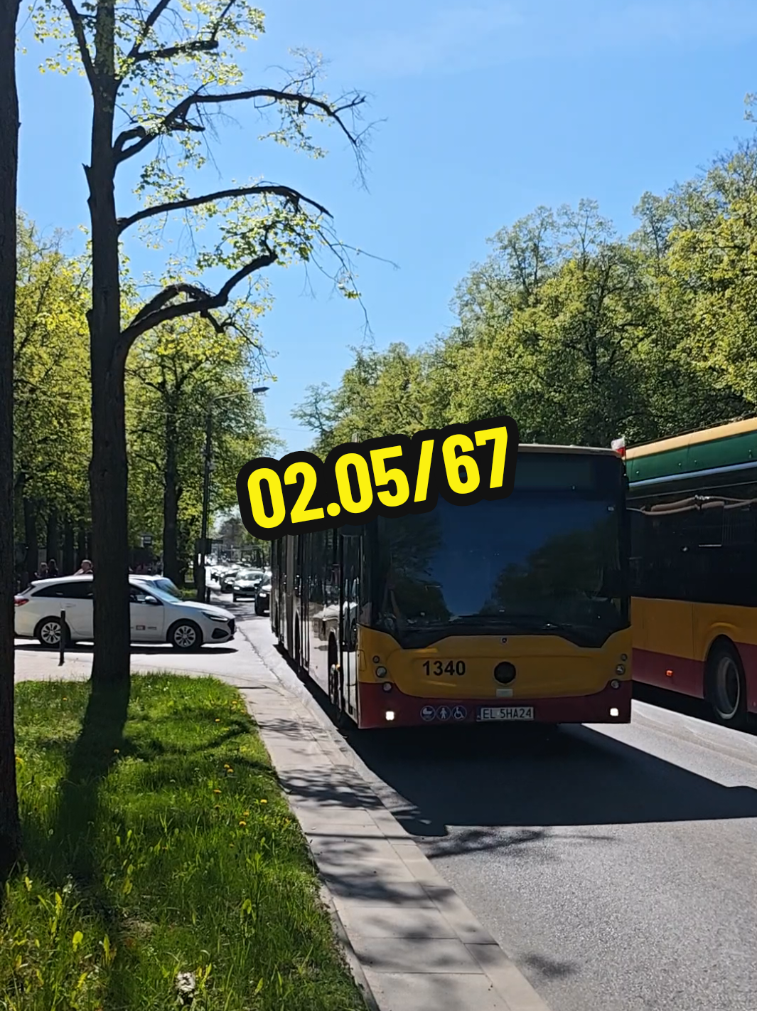 @🌳🌥️ fanpage 319 🌥️🌳