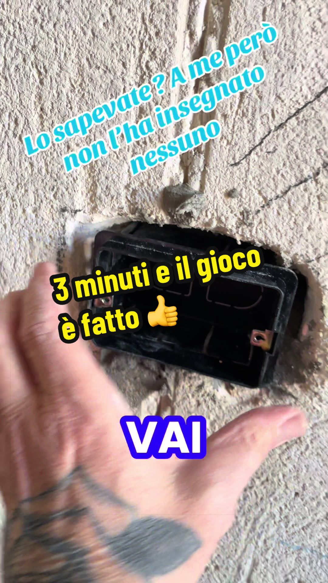 @Alessandro Cuomo ♌️