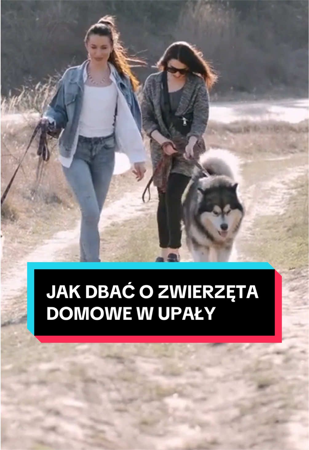 @pandawojtekyt