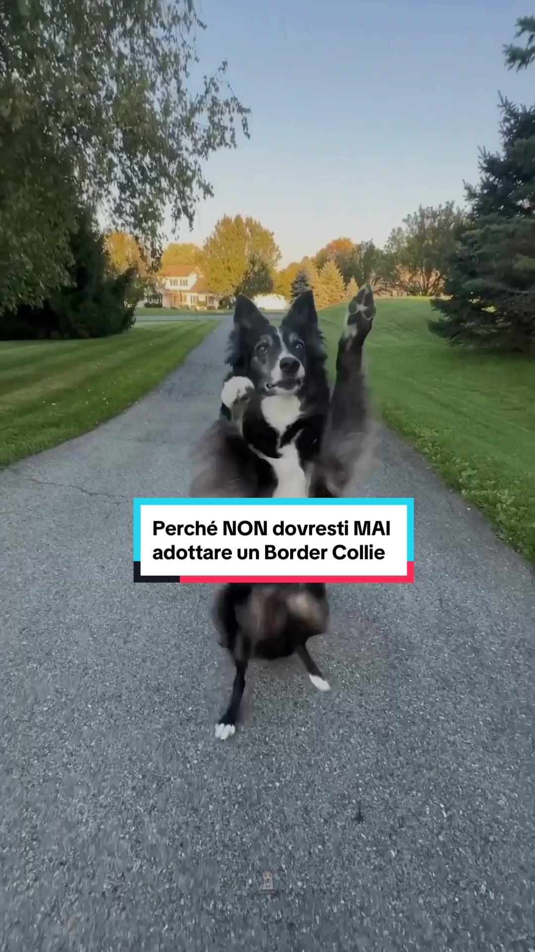 @FaunaFanatics