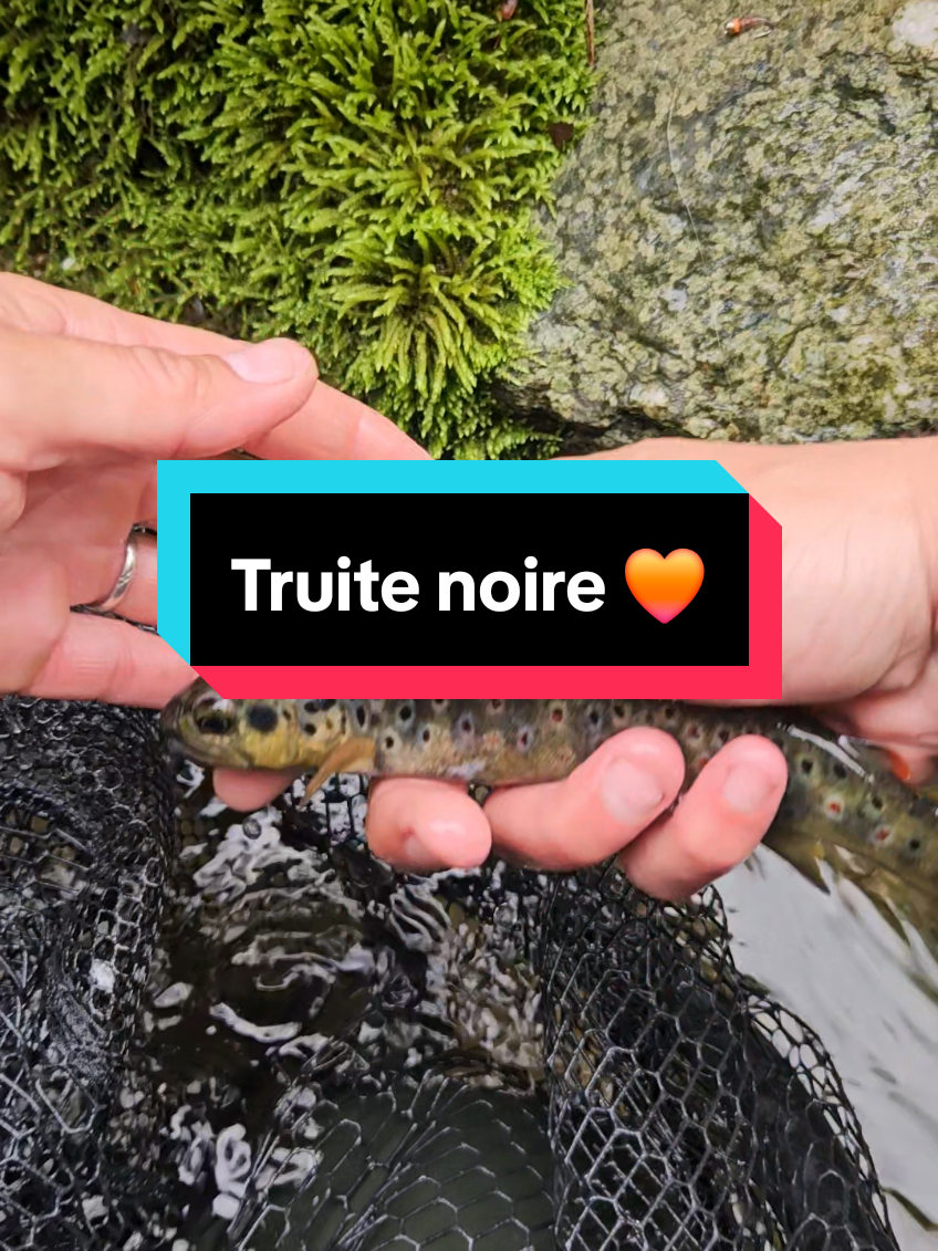 @pechenature74🧡