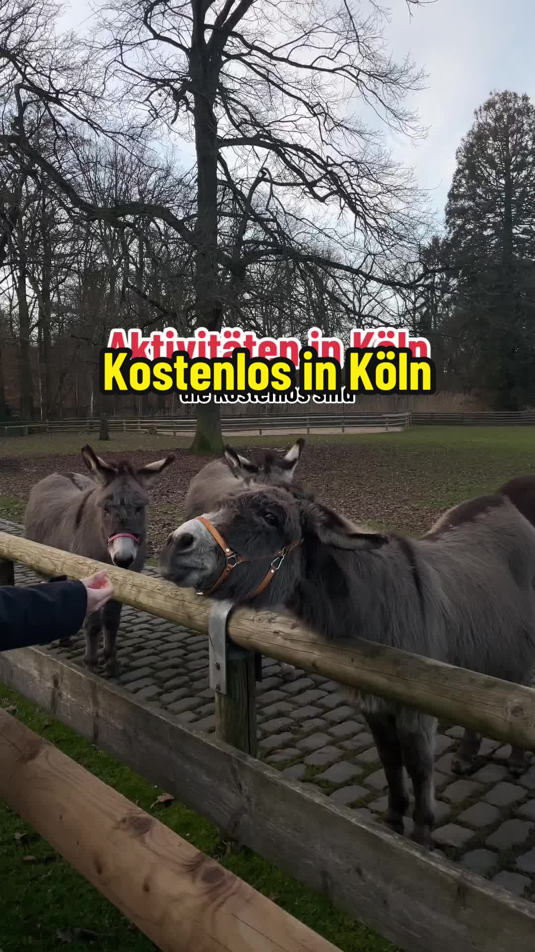 @Mit Vergnügen Köln