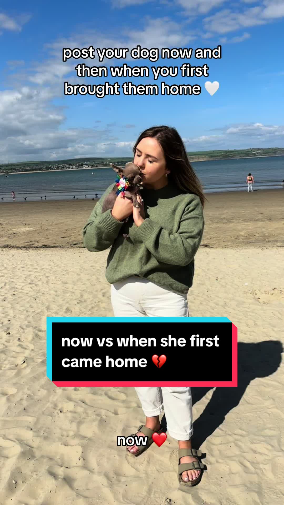 @jayehodder