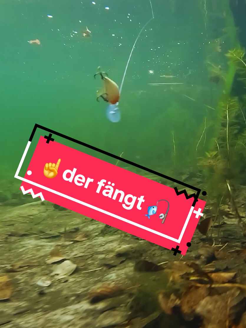 @Iron Trout | Forellenangeln