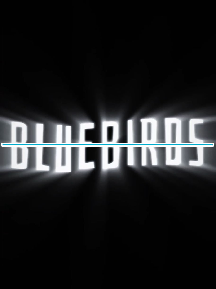 @Bleichi