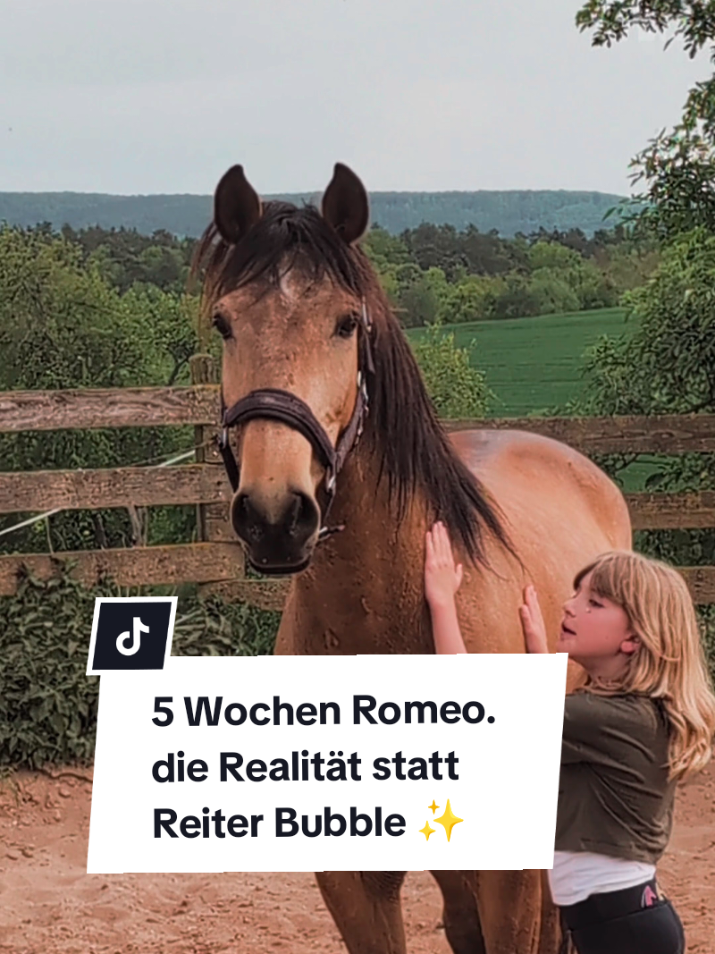 @Caro_Sofie_Offenstallliebe