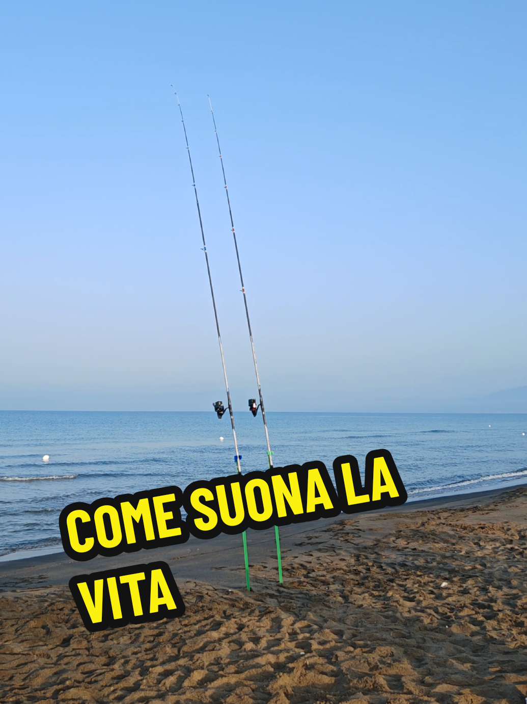 @ALESSANDRO SILVESTRI