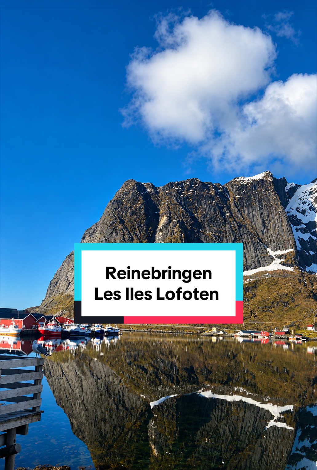 @Tout savoir sur la Norv&egrave;ge🇳🇴