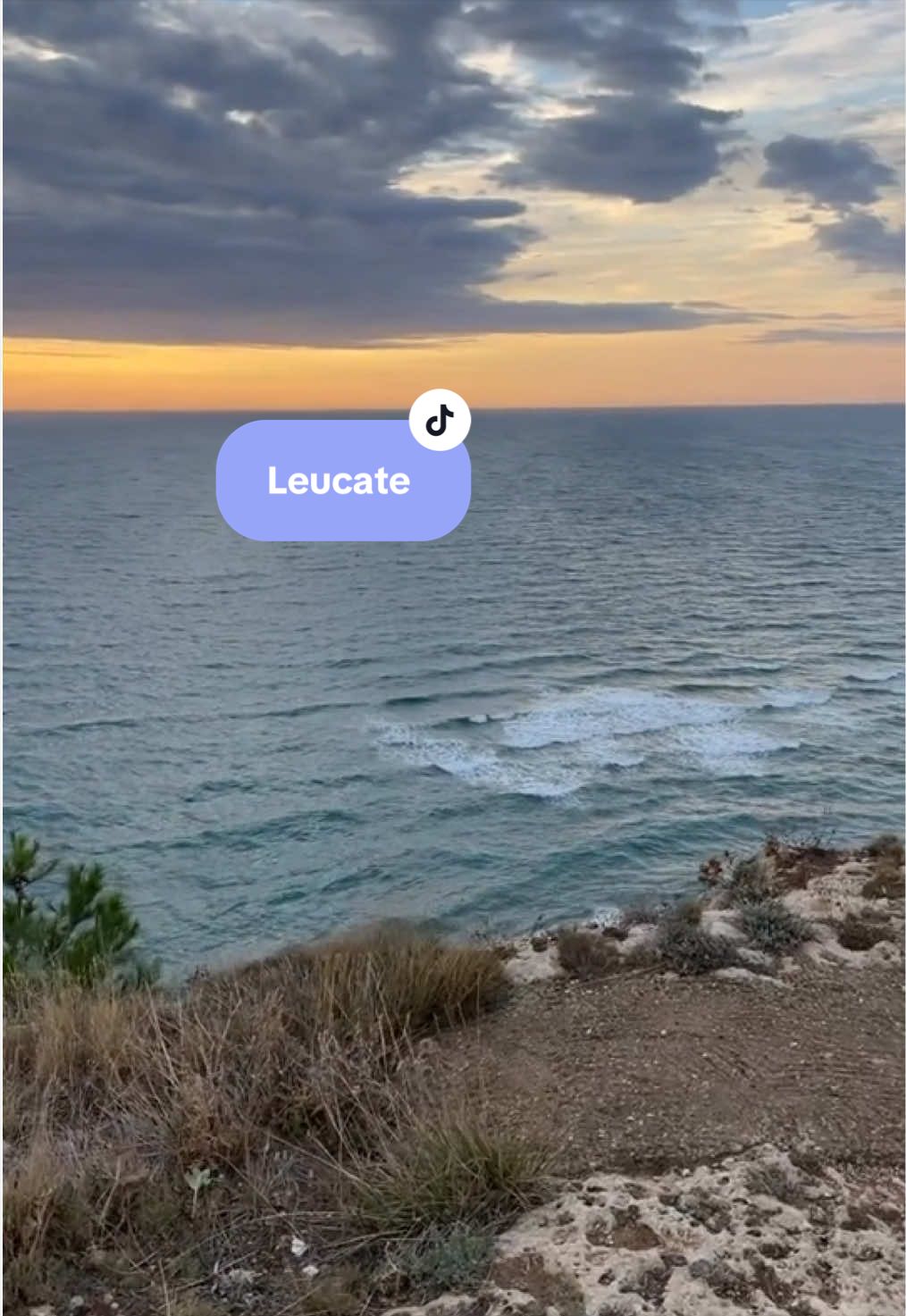 @LoTilia__