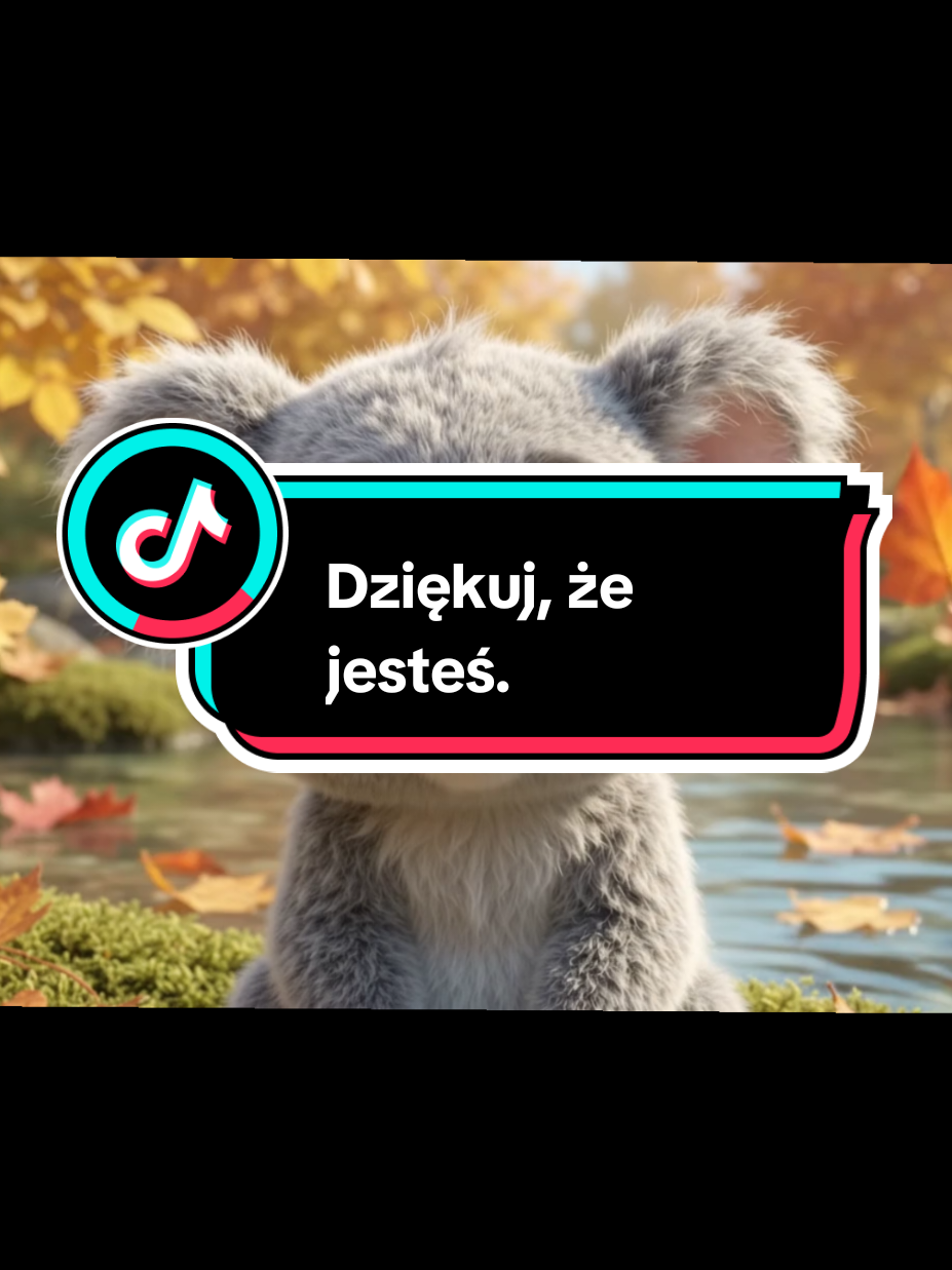 @Wesolutki Karolek 🐨