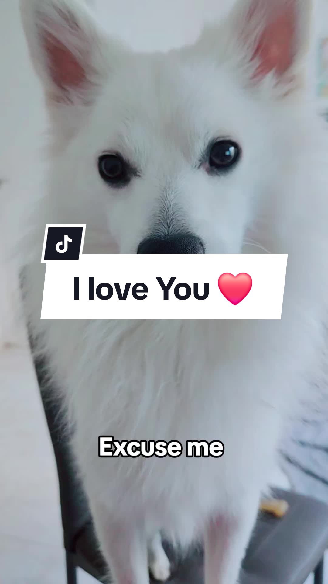 @TheWhitePrince👑