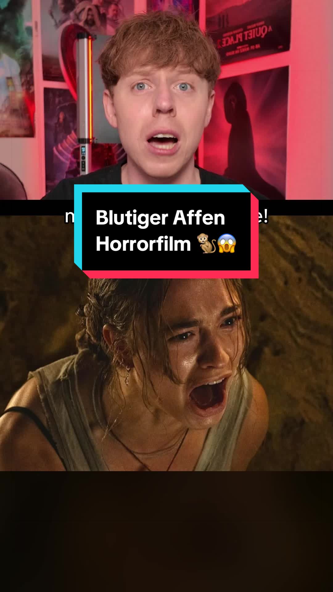 @nikflixplus | Niklas