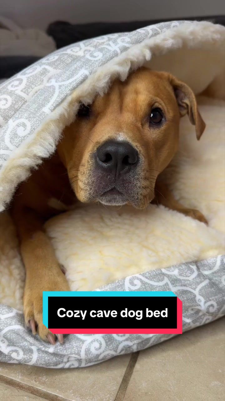@Kaja & Macho 🥰