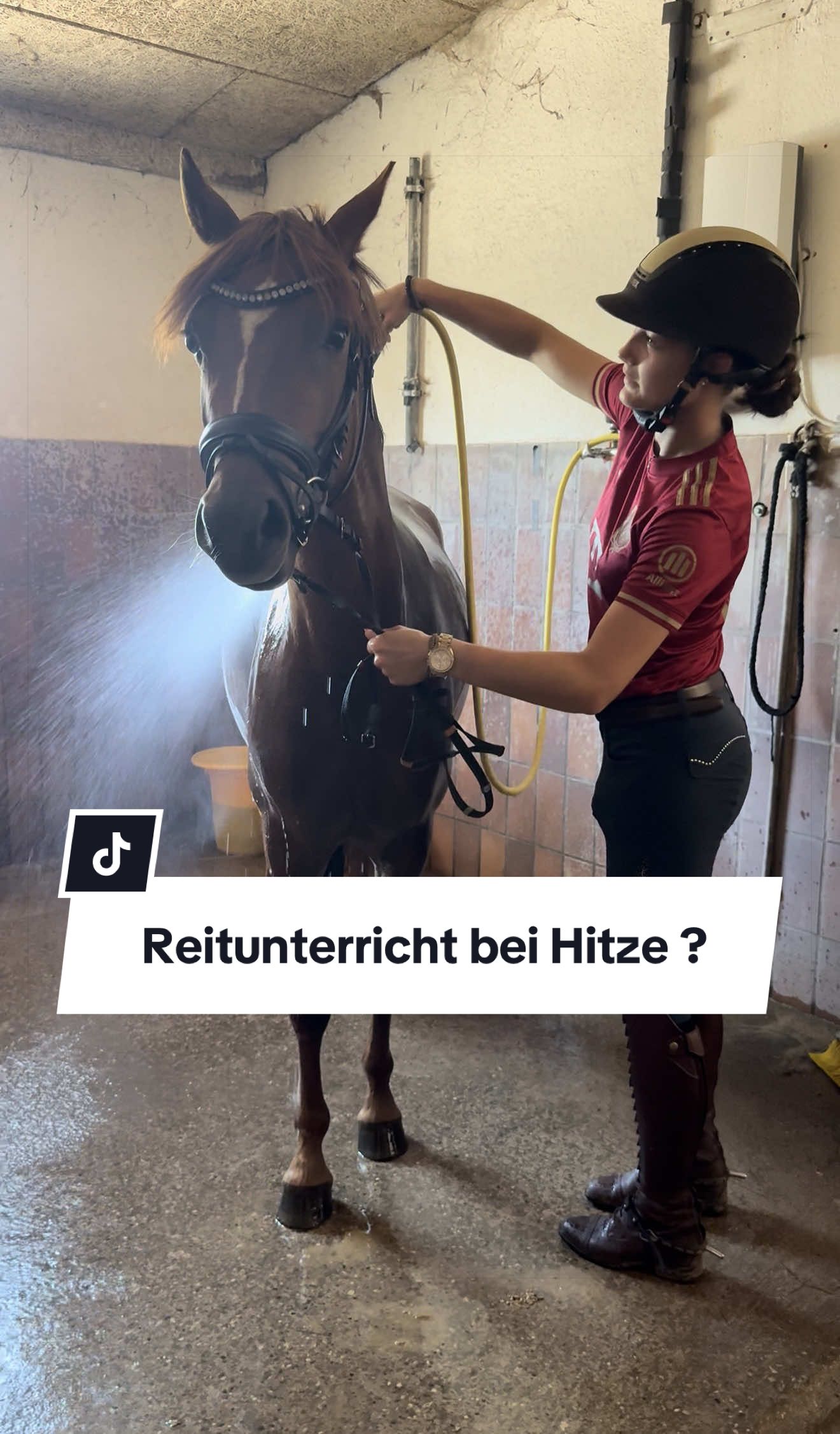 @Sophia &bull; SL Reitschule