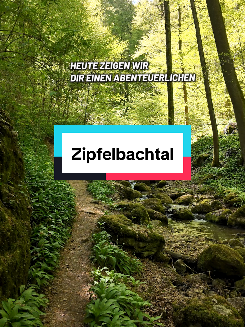 @Am Puls der Natur