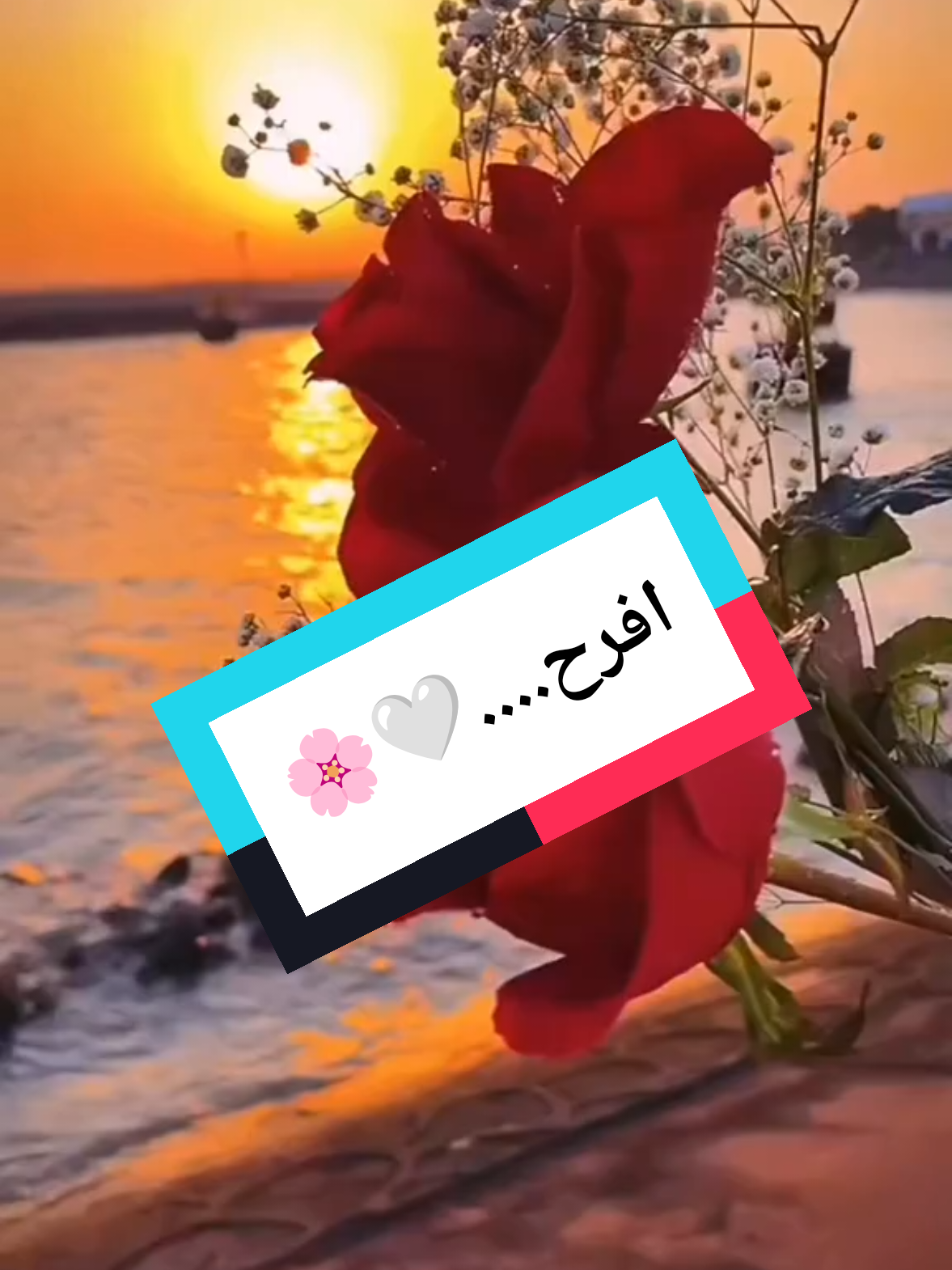 @صدى الصمت 🌸