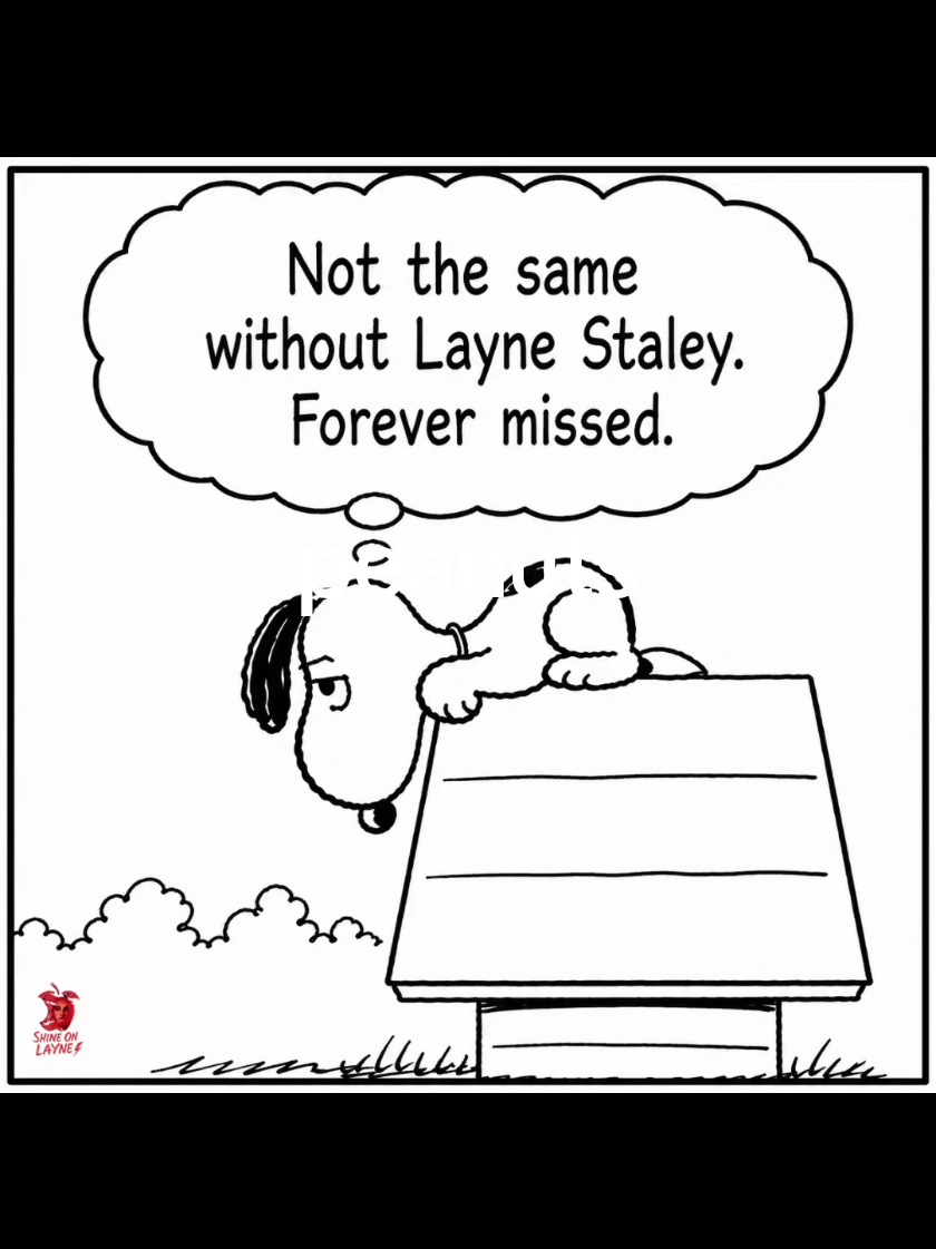 @Shine on Layne