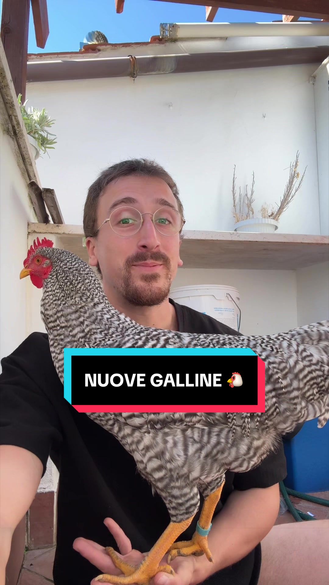 @AlbertoMaurizi