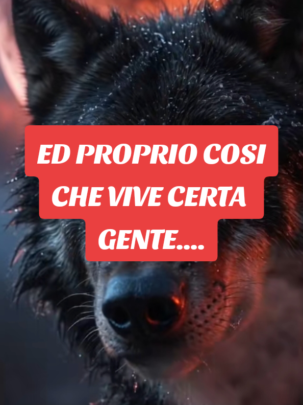 @ALESSANDRO_IL_ROMANO
