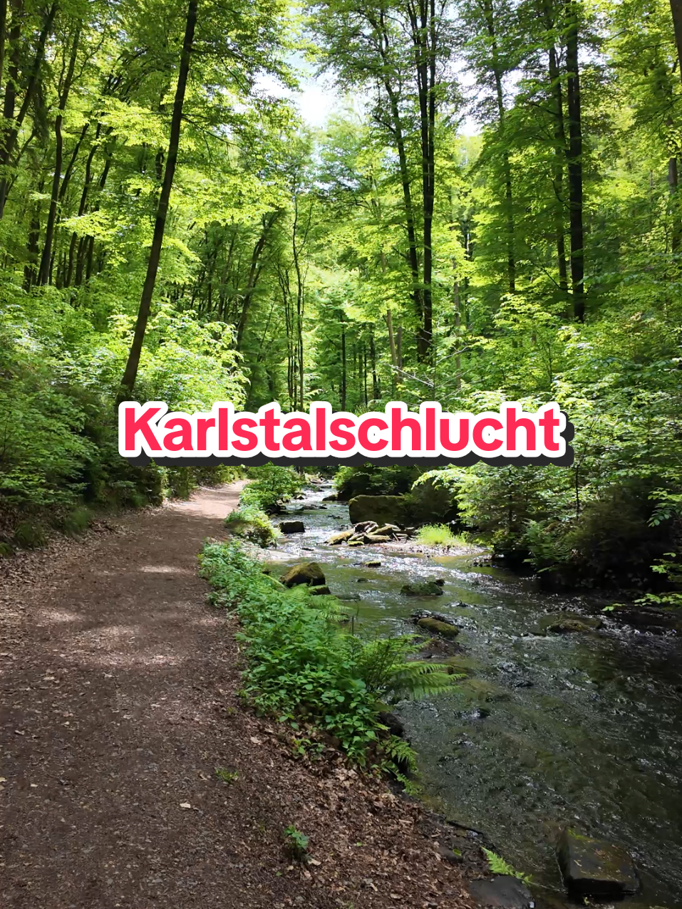 @Am Puls der Natur