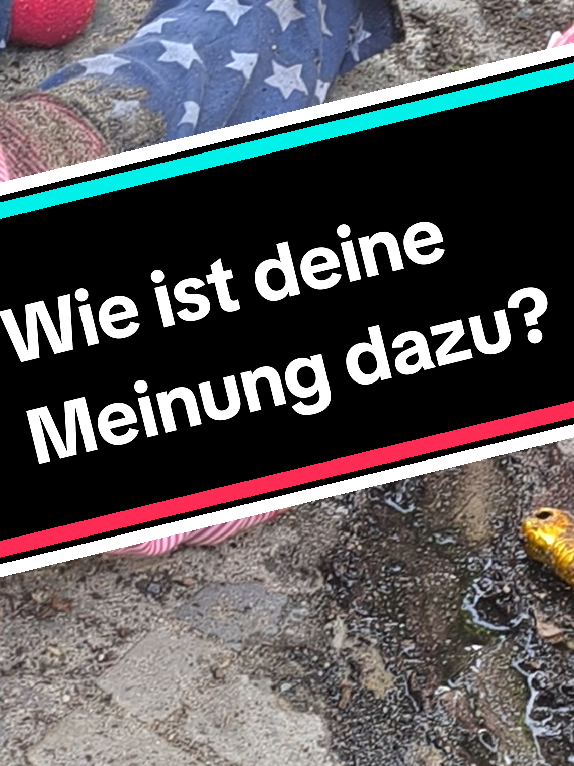@Gewaltfreie_Kindheit_365