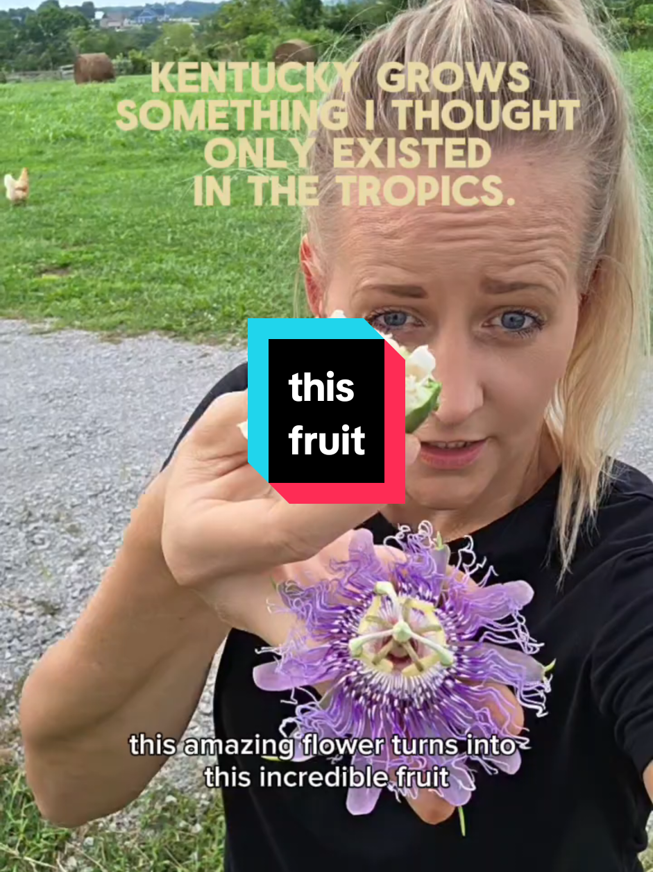 @Life Built in KY