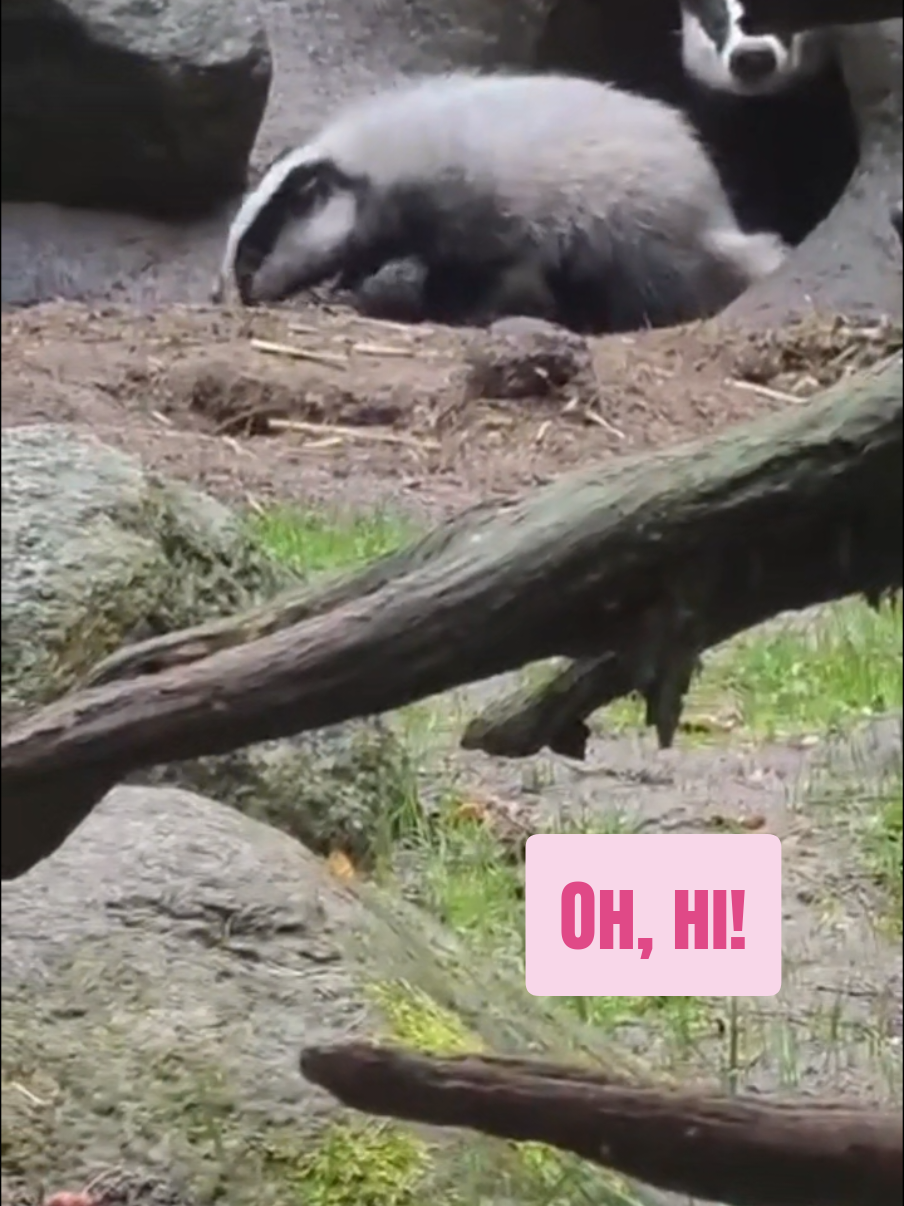 @WildparkLH
