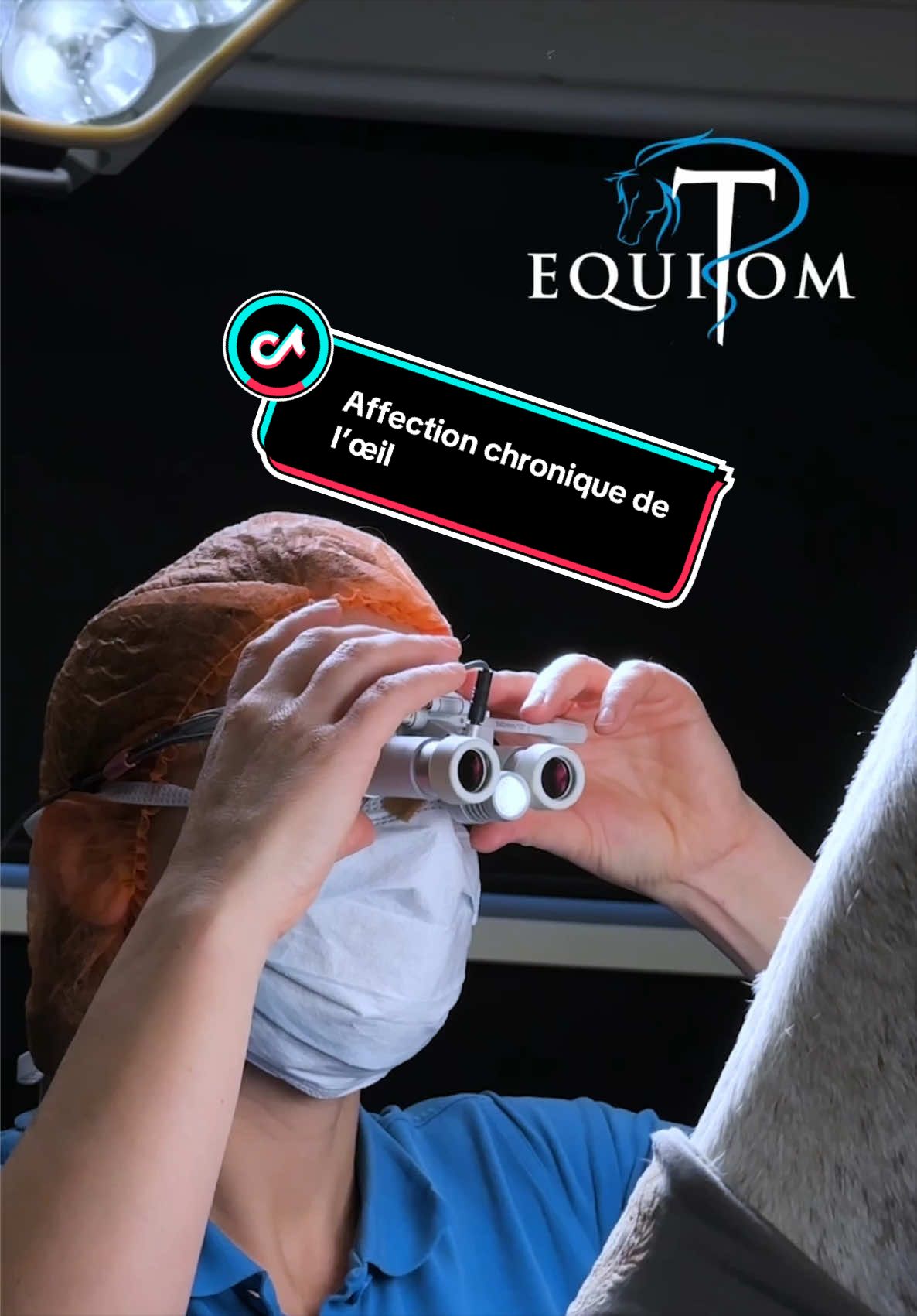 @Equitom